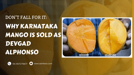 Don't Fall For It: Why Karnataka Mango is Sold As Devgad Alphonso